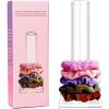 imageOAOLEER 2Pcs Scrunchie Holder StandClear Jewelry Organizer for Teen Girl Women Gifts The Perfect Scrunchy Display Organizer1pcs clear holder