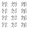 Glitter Silver 12PCS