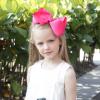 imageOaoleer Hair Bows 30 Colors 4 Inch Grosgrain Ribbon Bows Alligator Clips Hair Barrettes Hair Accessories for Girls Toddler Infants Kids Teens Children8 Inch Pack of 30