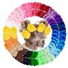 imageOaoleer 40Pcs 45quot Hair Bows Clips Grosgrain Ribbon Alligator Clips Barrettes Hair Accessories for Baby Girls Infants Toddlers Kids Teens Children 45 Inch 20 Colors in Pairs45 Inch Pack of 4020 Colors