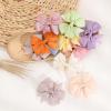 image:imageOAOLEER Hair Bows 80Pcs 3 Inch Grosgrain Ribbon Pinwheel Hair Clips for Girls Kids DIY Letter Printed Accessories3inch24pcs