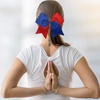 image:image16PCS 8 Large Cheer Hair Bows Ponytail Holder Elastic Band Handmade for Cheerleading Teen Girls College Sports Royal blueRed 1 Count Pack of 16Royal blueRed